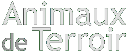 Animaux de Terroir