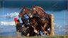 photo-cheval-de-sport.jpg - 