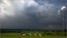 photo-chevaux-percheron.jpg - 