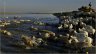 photo-mouton-baie-somme.jpg - 