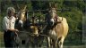 20_TRACTION_ANIMALE_DURABLE_PHOTO.jpg - 