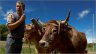 3_TRACTION_ANIMALE_DURABLE_PHOTO.jpg - 