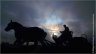6_TRACTION_ANIMALE_DURABLE_PHOTO.jpg - 